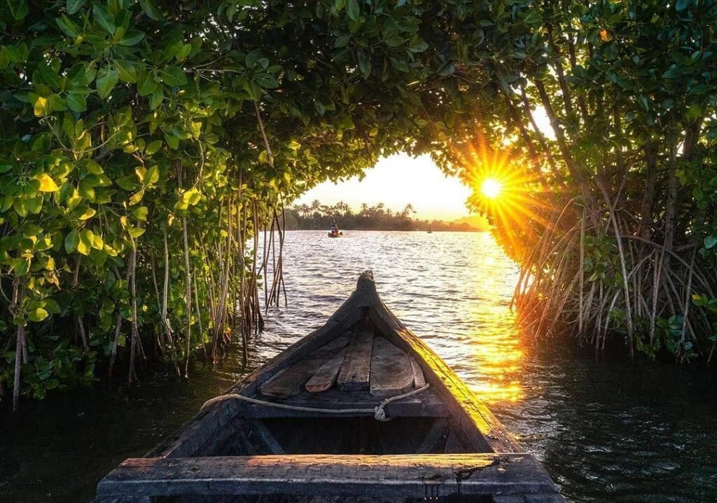 What is Munroe Island famous for