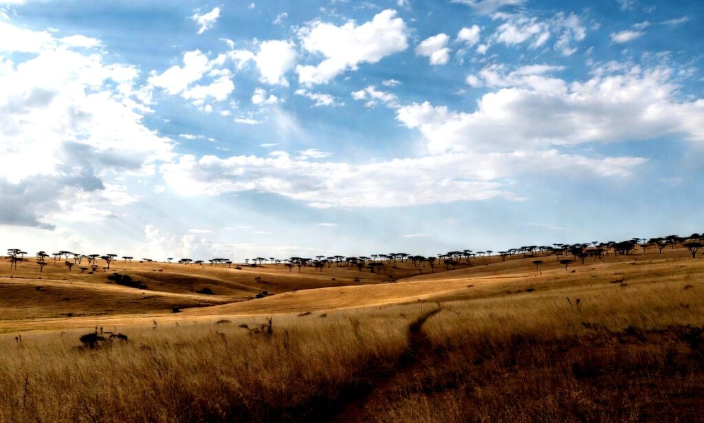 Experience the allure of Kenya